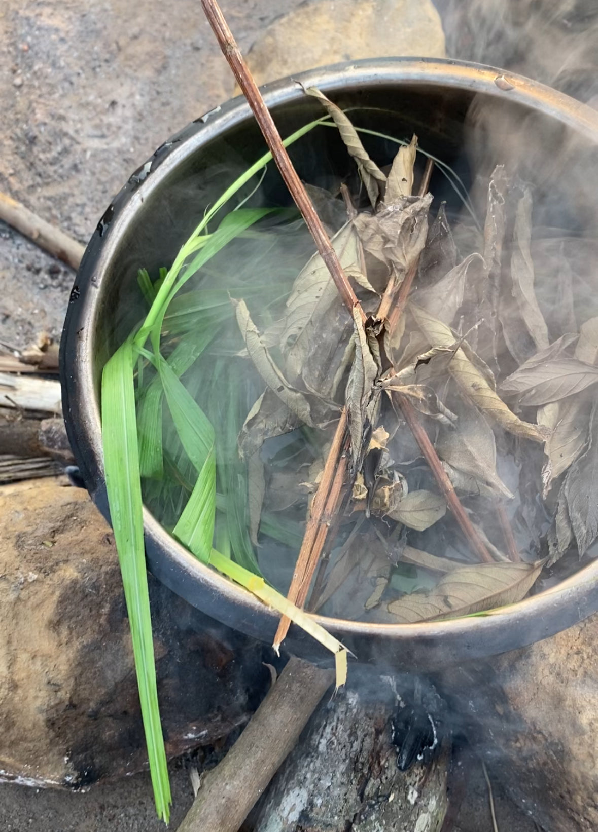 Mbokia Tea - Herbal Tea Blend